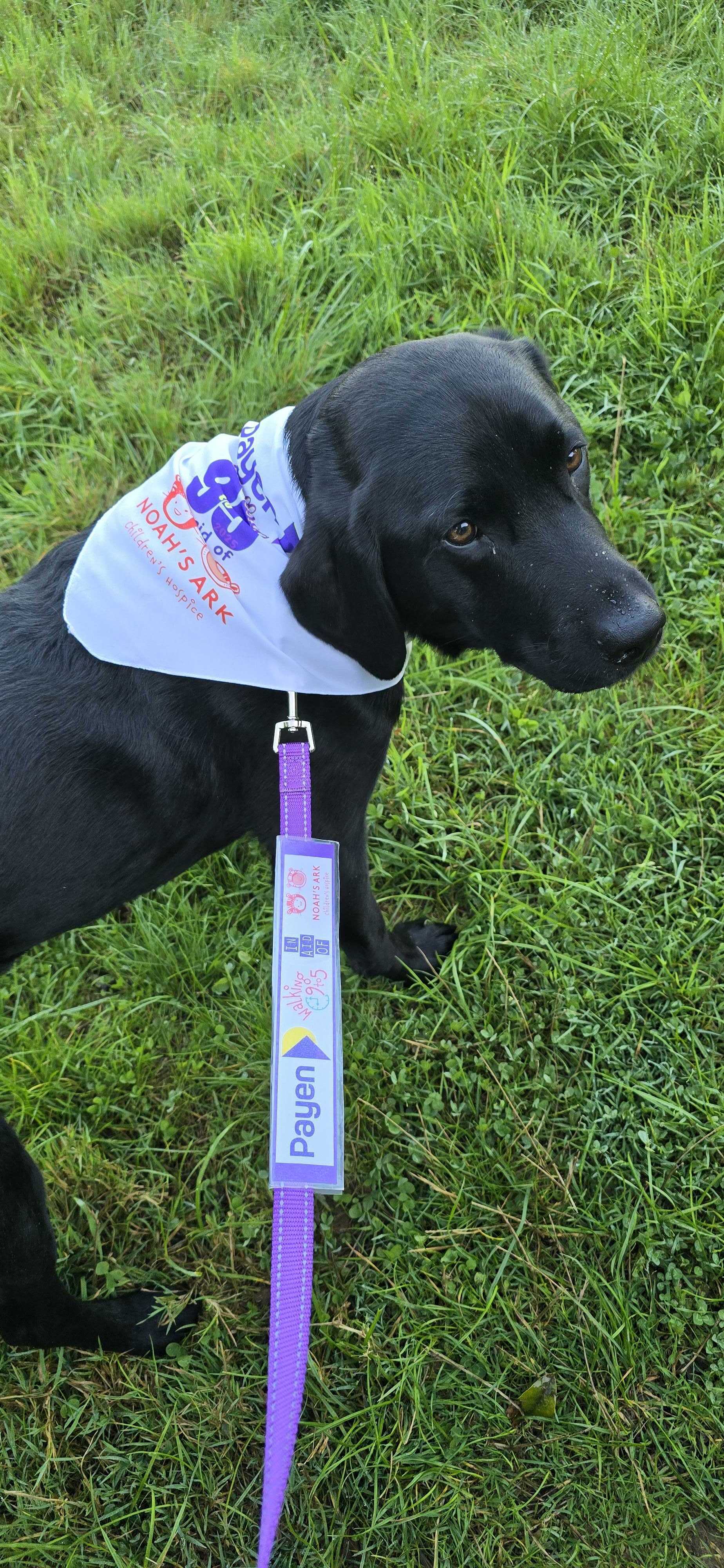 9 5 4 2025 10 15 121409 rwhm