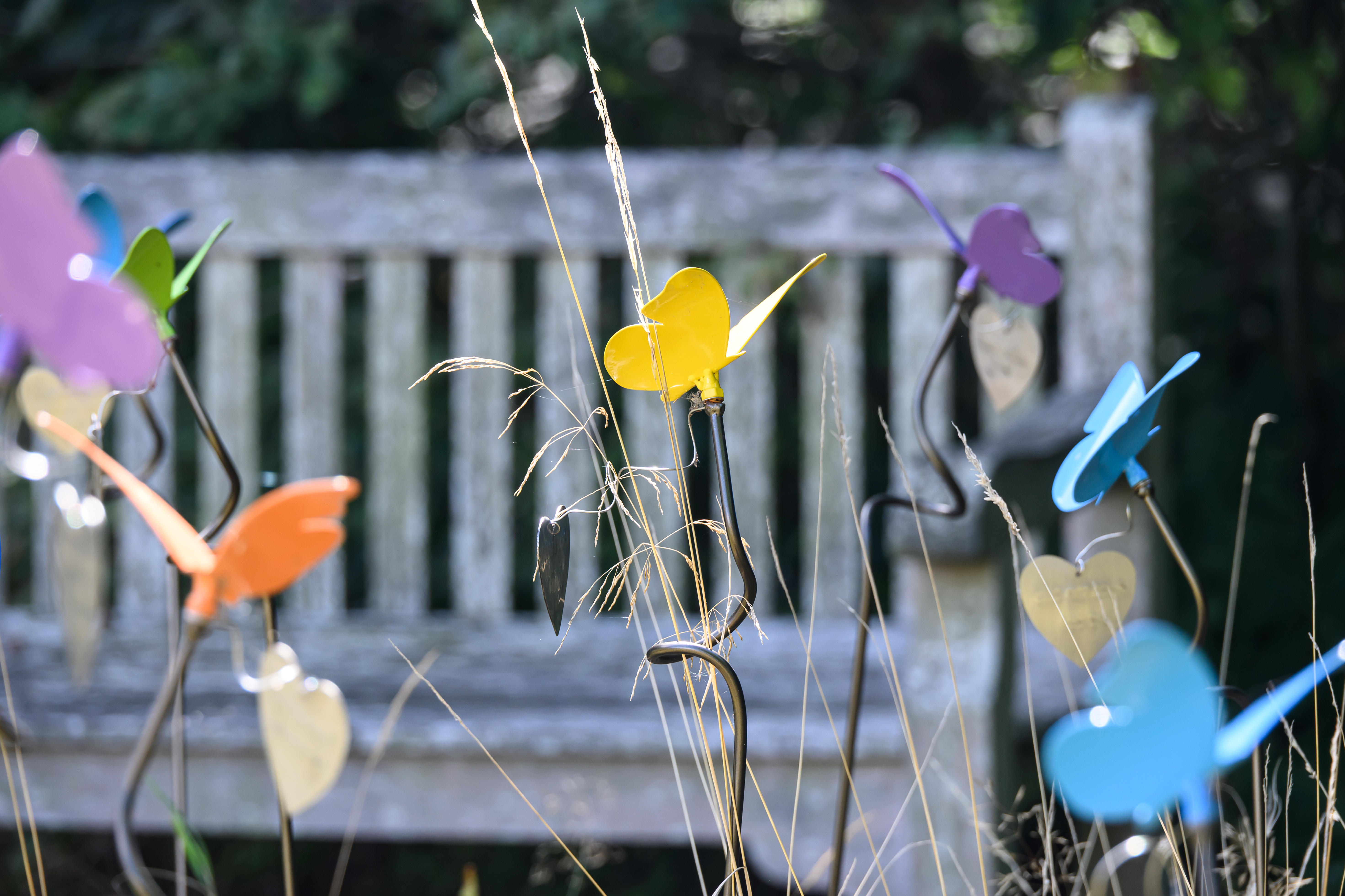 Memorial Butterflies at Noah's Ark