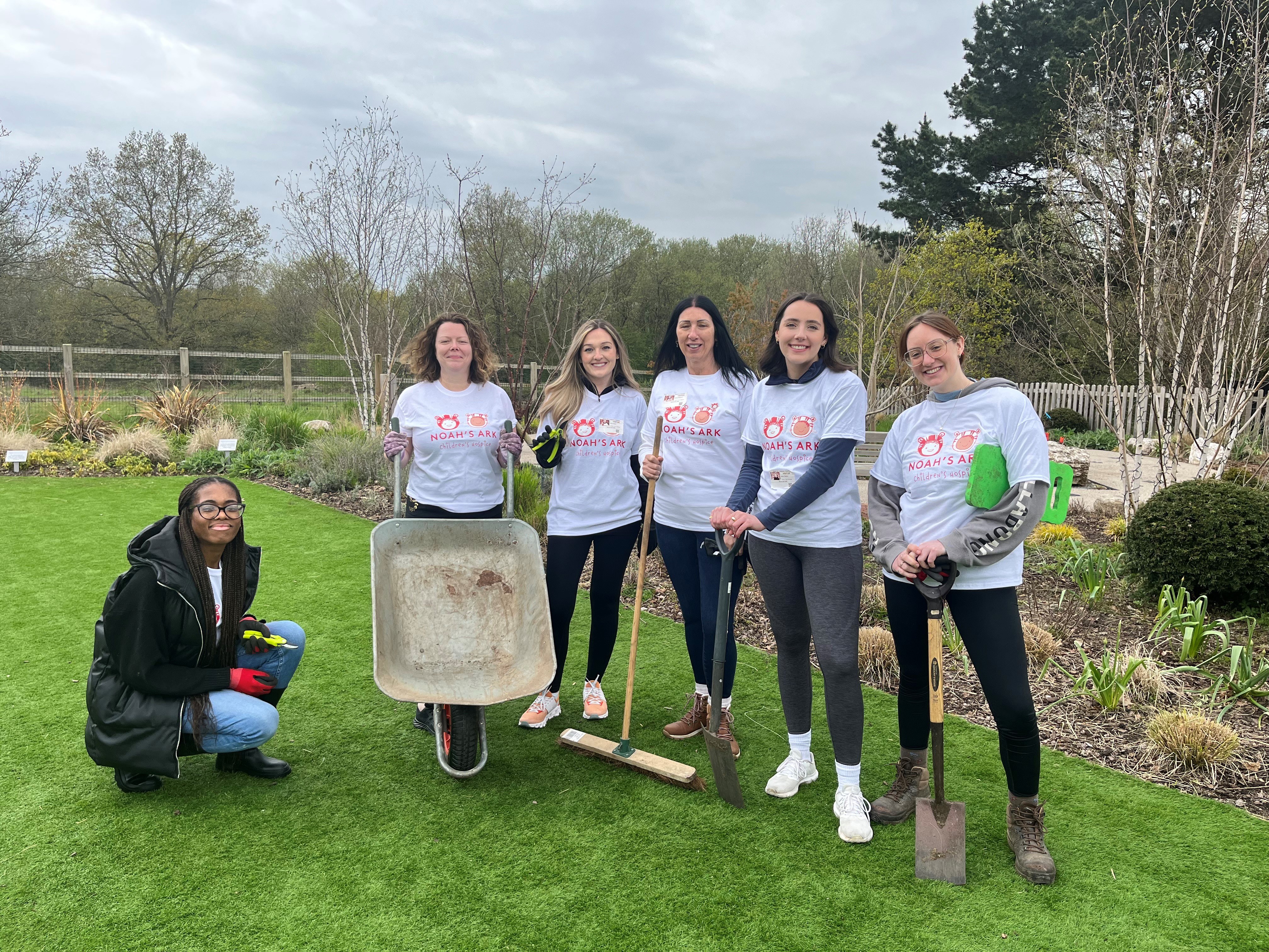 The Ark pic 1 Hill Dickinson