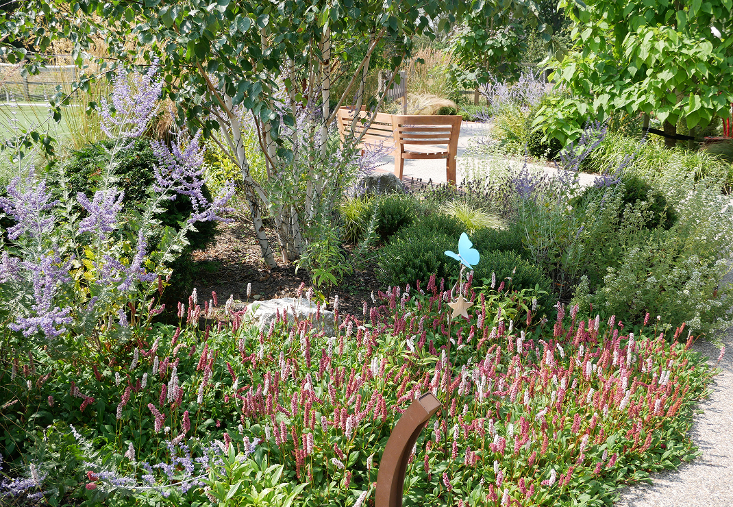 Neonatal garden with butterfly
